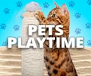 Pets playtime