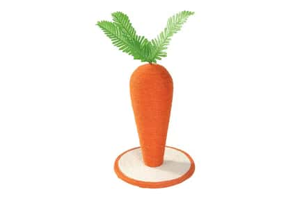 Cat Indoor Scratching Post - Cactus or Carrot!