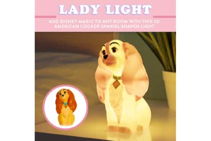 Disney Lady Light 3D Lamp