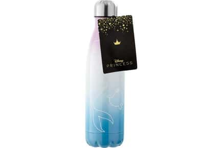 Disney Stainless Steel Water Bottle