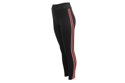 Women's High Waist Gym Leggings - 7 Colours & Sizes 8-14!