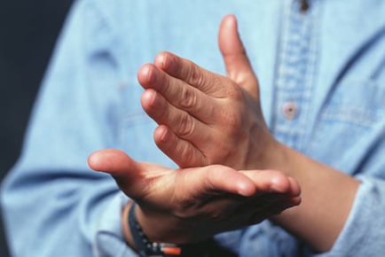 Online British Sign Language Course - Level 1 & 2!