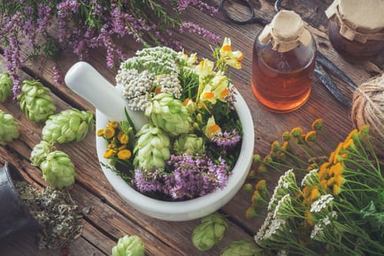 Online 'Master Herbalist Diploma' Course
