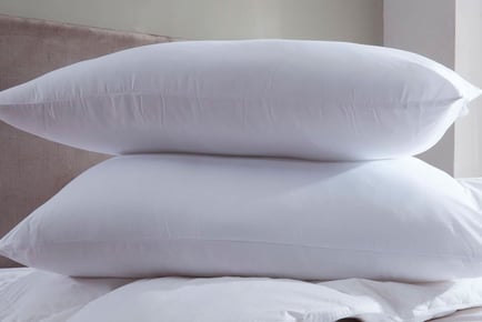 Jumbo Bounce Back Pillows - 1, 2 or 4