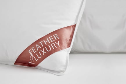 Luxury Duck Feather Pillow Pair!