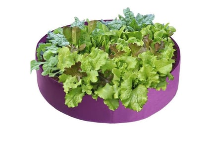 Fabric Planting Container - 3 Sizes & Colours!