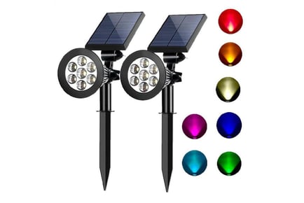 Outdoor LED Solar Garden Light - 2 Options