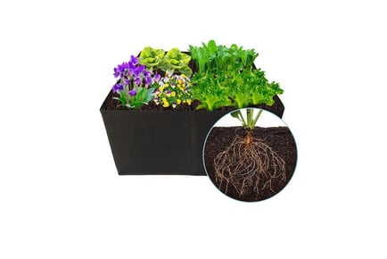 4, 6, Or 8 Grid Plant Bed