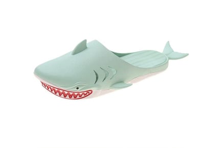Shark Sliders - UK Sizes 3-8