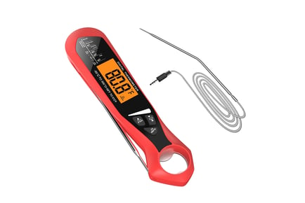 Thermometer and food probe