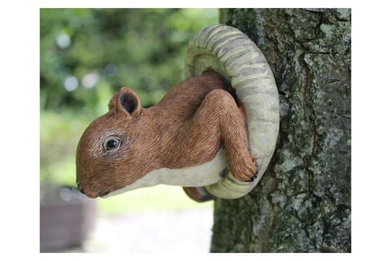 Novelty Red Squirrel Tree Peeker