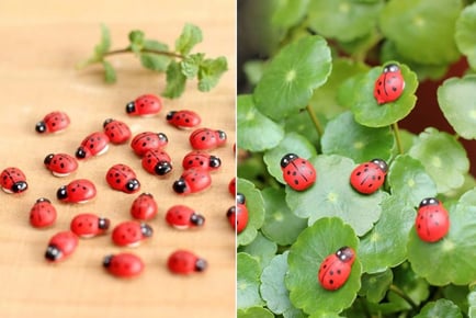 Ladybug Garden Decoration - 2 Options!