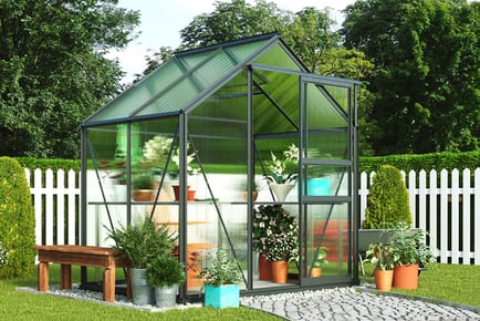 Traditional Greenhouse - 3 Sizes & 2 Colours!