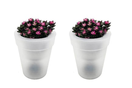 LED Flower Pot - One or Two Piece Set!