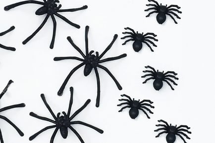 15 Halloween Prank Spiders - Mini or Large