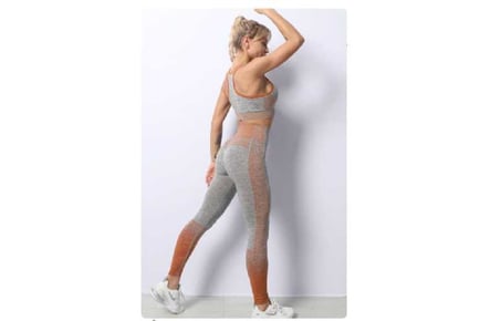 Seamless Gym Sport Leggings