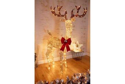 Reindeer 6' Xmas Large LED Lighting