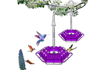 Hex Hanging Humming Bird Feeder - 1 or 2!