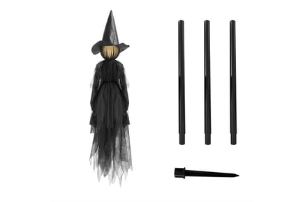 Halloween Outdoor Light Up Decoration - Witch or Wizard