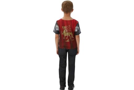 Knight T-Shirt Children Boy Fancy Dress