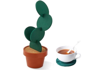 6 Interactive Cactus Drink Coasters - Green or Wooden Brown!