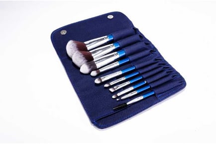 10pc iB Professional Brush Set - with Carry Case!
