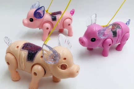 Kids Perci Pig Walking Pet Toy