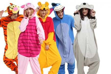 Novelty Winnie The Pooh Inspired Snuggle Onesies - 6 Styles