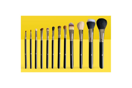 12p Professional iB Makeup Brush Sets