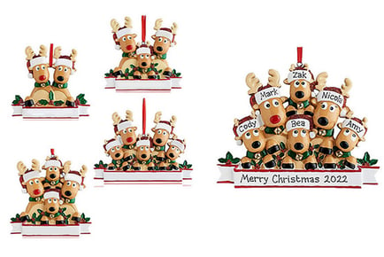 Family Christmas Reindeer Decoration - Pack of 1 or 2