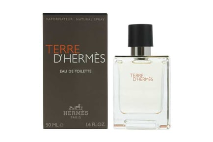 Hermès Terre d'Hermes Eau De Toilette 50ml for Men