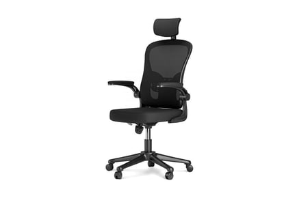 Ergonomic Swivel Office Chair - 2 Options