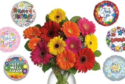 12 Mixed Gerberas Bouquet & Choice of Balloon - flowersdelivery4U