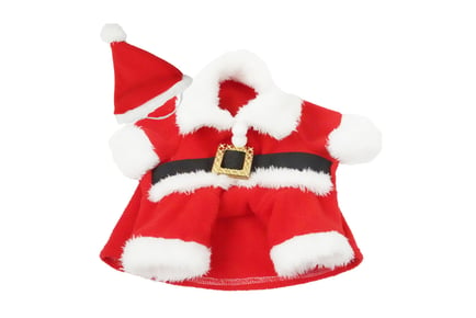 3D Christmas Dog Costume - 5 Size Options