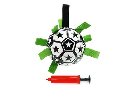 Outdoor Dog Football Toy - 7 Style Options!