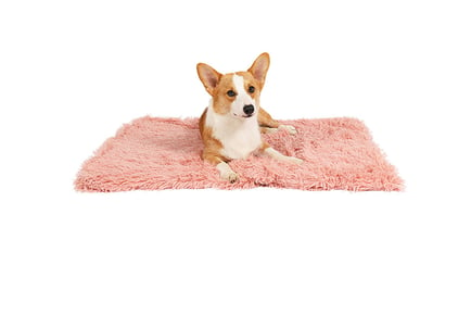 Soft Fuzzy Pet Blanket - 3 Sizes, 9 Colours