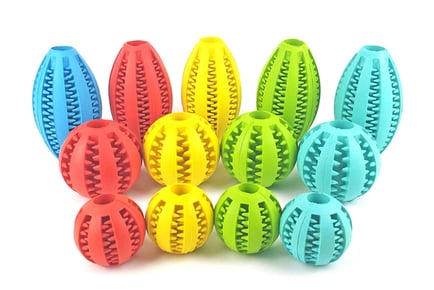Dog's Teething Chew Toy - Sizes, 4 Colours