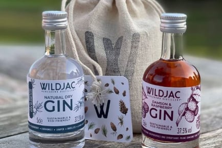 Mini Gin-Gle All The Way Gift Pack - WILDJAC
