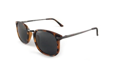 East Village Men's EV14 Brown Sunglasses - Shell & Gold