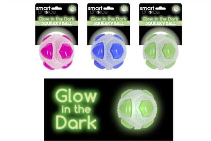 Glow In The Dark Squeaky Ball