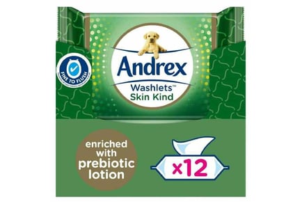 Andrex Skin Kind Toilet Tissue Wipes