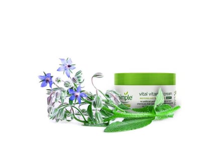 Simple Night Cream 50ml: Essential Vital Vitamin