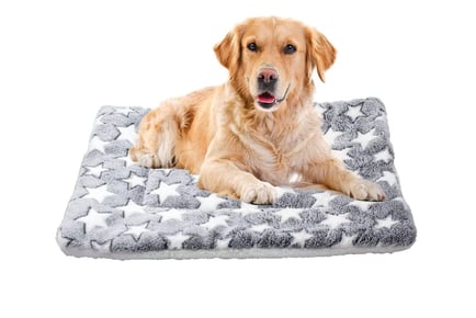 Thickened Fleece Pet Bed - 6 Designs & 6 Sizes