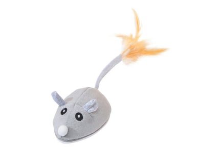 Rechargeable Cat & Mouse Interactive Toy
