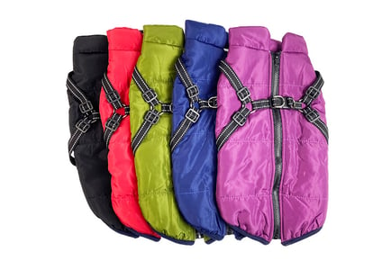 Comfy Cosy Fleece for Dogs - 7 Sizes, 5 Colours