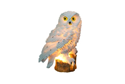 Owl Solar Powered Lawn Lamp - 2 Colour Options