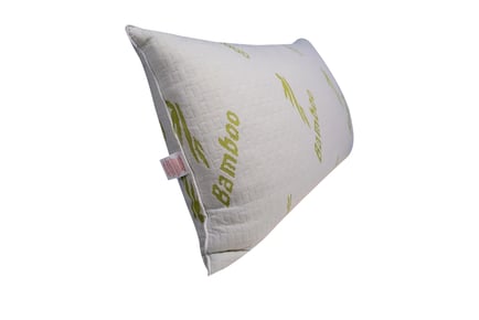 Relaxer Bamboo Memory Foam Pillow - One or Two Pack!