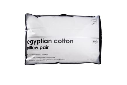 2 Egyptian Cotton Pillows