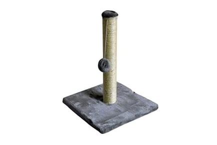 Durable Cat Scratching Post with Hanging Ball