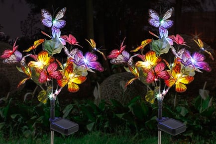 Solar Powered Butterfly Garden Lights - 2!